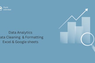 do professional data cleaning and data visualization