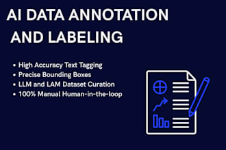 be your expert ai data annotator and manager for model training