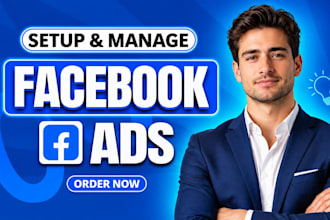setup and manage meta ads, facebook ads campaigs, instagram ads