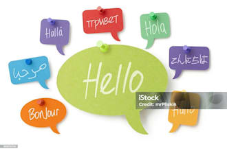 translate uzbek to english and english to uzbek