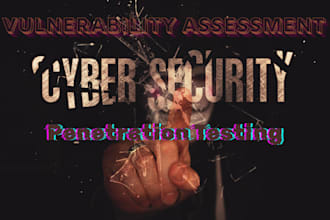 perform vulnerability assessment and security review