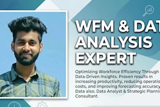 do expert data cleaning, statistical analysis, and capacity planning