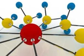 create 1000+ forum Profile Backlink with 1 Anchor Text and submit it to lindexed and nuclear link crawler for faster indexing