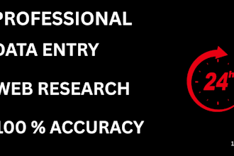 do fast and accurate data entry and excel data entry work