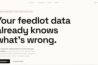 build a webapp for you from scratch
