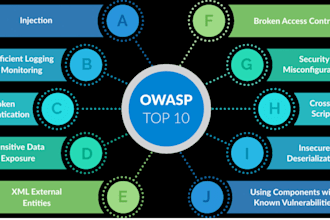 perform a web application security audit and pentest