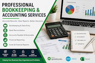 provide professional bookkeeping and accounting services