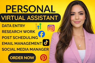 personal executive assistant administrative virtual assistant social media