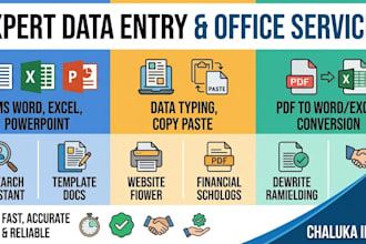do expert data entry, copy paste, ms word and excel typing work