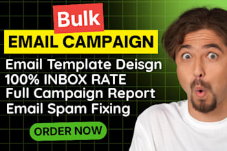 do bulk email campaign setup high converting email blast no spam