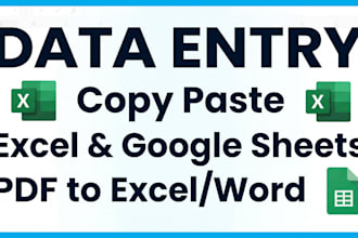 do fast and accurate data entry, excel, copy paste, PDF conversion