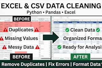 clean, format and organize excel or CSV data professionally