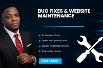 fix, recover, maintain and secure your wordpress website