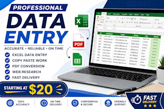 do accurate data entry, typing and copy paste work