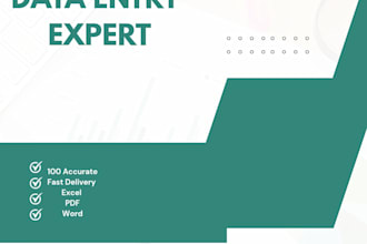 do accurate data entry, excel sheet, web research fast