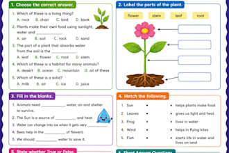 create professional worksheets, quizzes and educational activities for kids