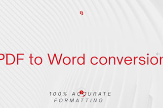 convert PDF to word with 100 percent accuracy and fast delivery
