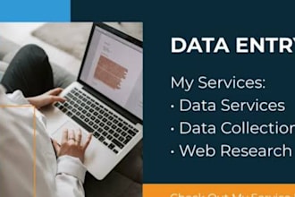 do fast and accurate excel data entry in 2 hours