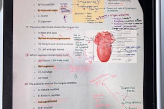 explain anatomy in a simplified manner
