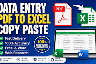 do accurate data entry, excel data entry and PDF conversion