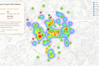 create a china lbs site selection and location intelligence report