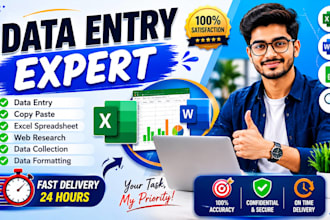 do excel data entry and professional data formatting services