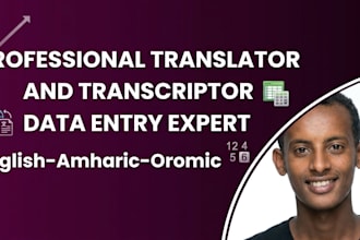 do professional translation, transcription and data entry