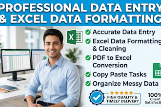 do professional data entry exel data formating and copy paste