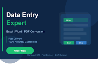 do fast and accurate data entry in excel or google sheets