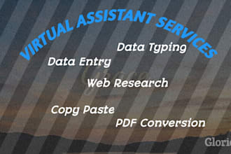 do data entry, excel, word, and copy paste tasks