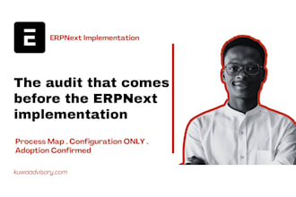 audit and implement erpnext for your growing business