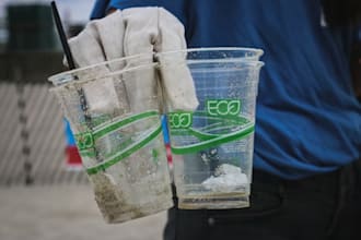 write SEO articles on greenwashing and fake green marketing