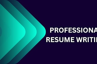 provide professional resume and formatting service