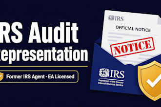 provide irs audit representation and tax notice response
