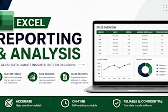 do professional excel for business reports and analysis