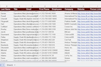 do data entry with accuracy