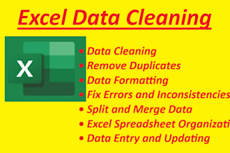 do excel data cleaning