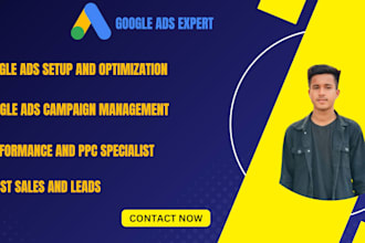 setup and optimize google ads ppc and performance max campaign