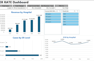 clean messy data and deliver automated excel dashboards