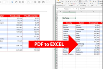 professionally convert pdf to excel, word to excel with accuracy