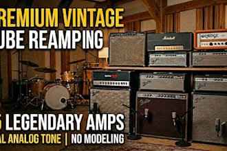 provide elite vintage tube reamping