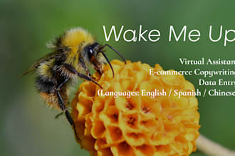 be your virtual assistant for ecommerce copywriting and data entry
