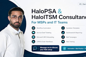 provide halopsa consultancy to msps