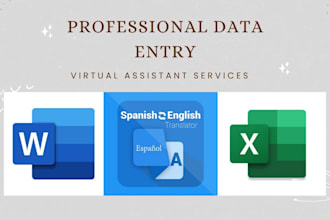 be your expert virtual assistant for data entry and copy pas
