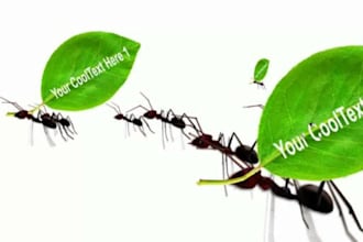 make Ants carry your Message and pictures HD video