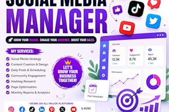 be your tiktok manager, ads set up, promotion, posting