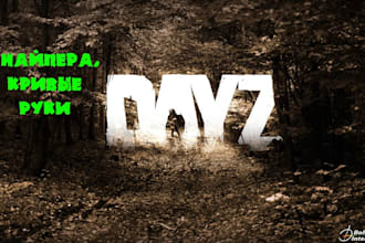 setup a custom dayz server for you