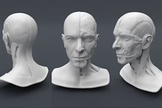sculpt custom 3d head model 3d face 3d bust model action figure stl 3d printing