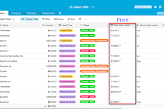 setup zoho crm setup dashboard asana setup