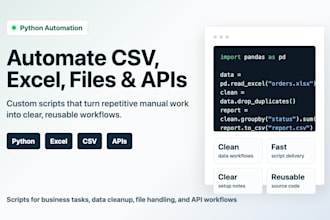 write a python automation script for csv excel files or apis
